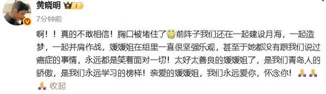 辛柏青悲痛发文赵丽颖等多位明星悼念冰球突破游戏演员朱媛媛患癌去世丈夫(图9)