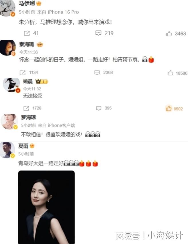 辛柏青悲痛发文赵丽颖等多位明星悼念冰球突破游戏演员朱媛媛患癌去世丈夫(图13)